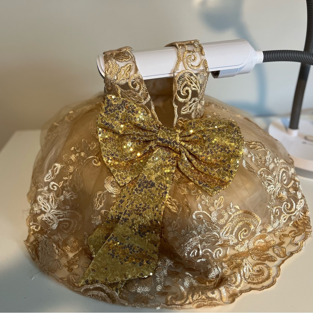 Holiday infant dress.